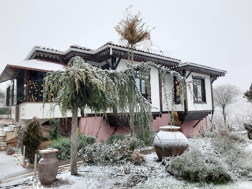 zorbatv.dergi