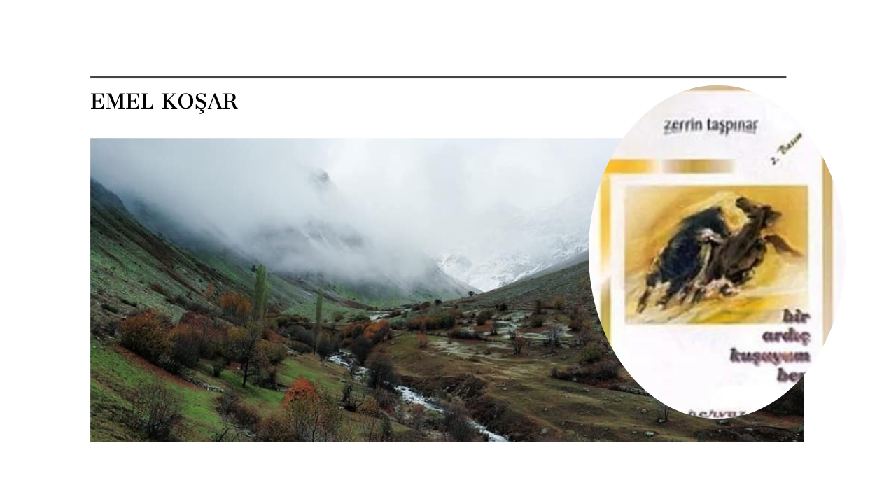 Zerrin Taşpınar ve Bir Ardıç Kuşuyum Ben