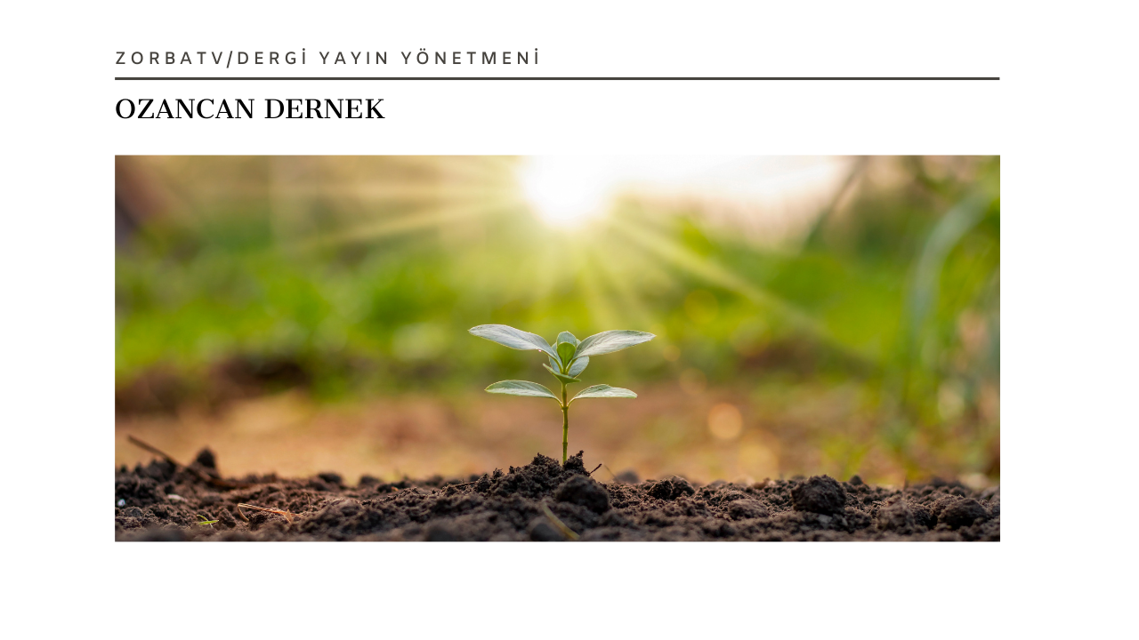 İyi Siyasetçi