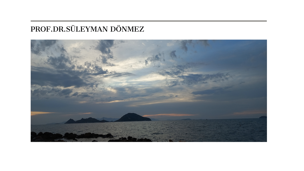 Son Devrin İslamcı Siyasetinin Türkçülükle İmtihanı
