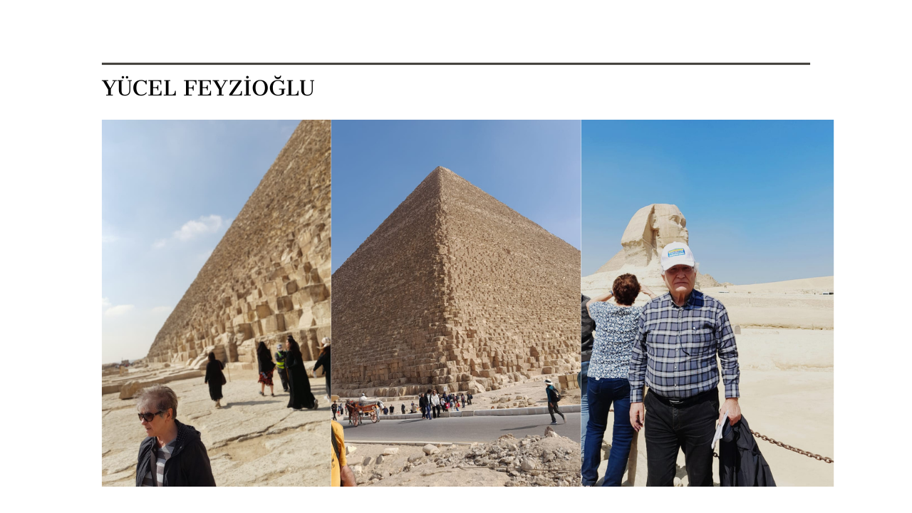 Mısır Araplaşmasaydı…