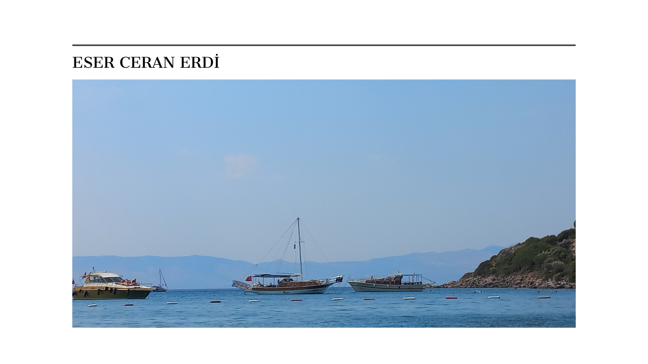 Niye Şiir Yazıyorum?