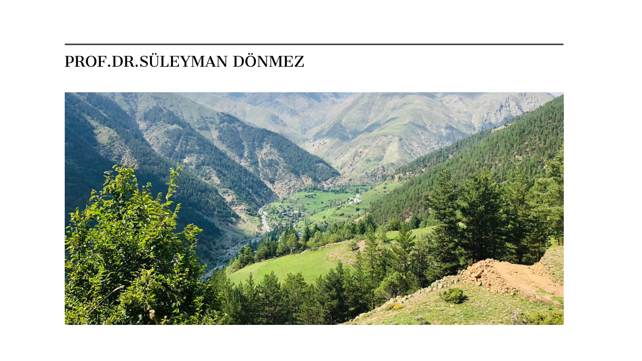Felsefi Denemeler