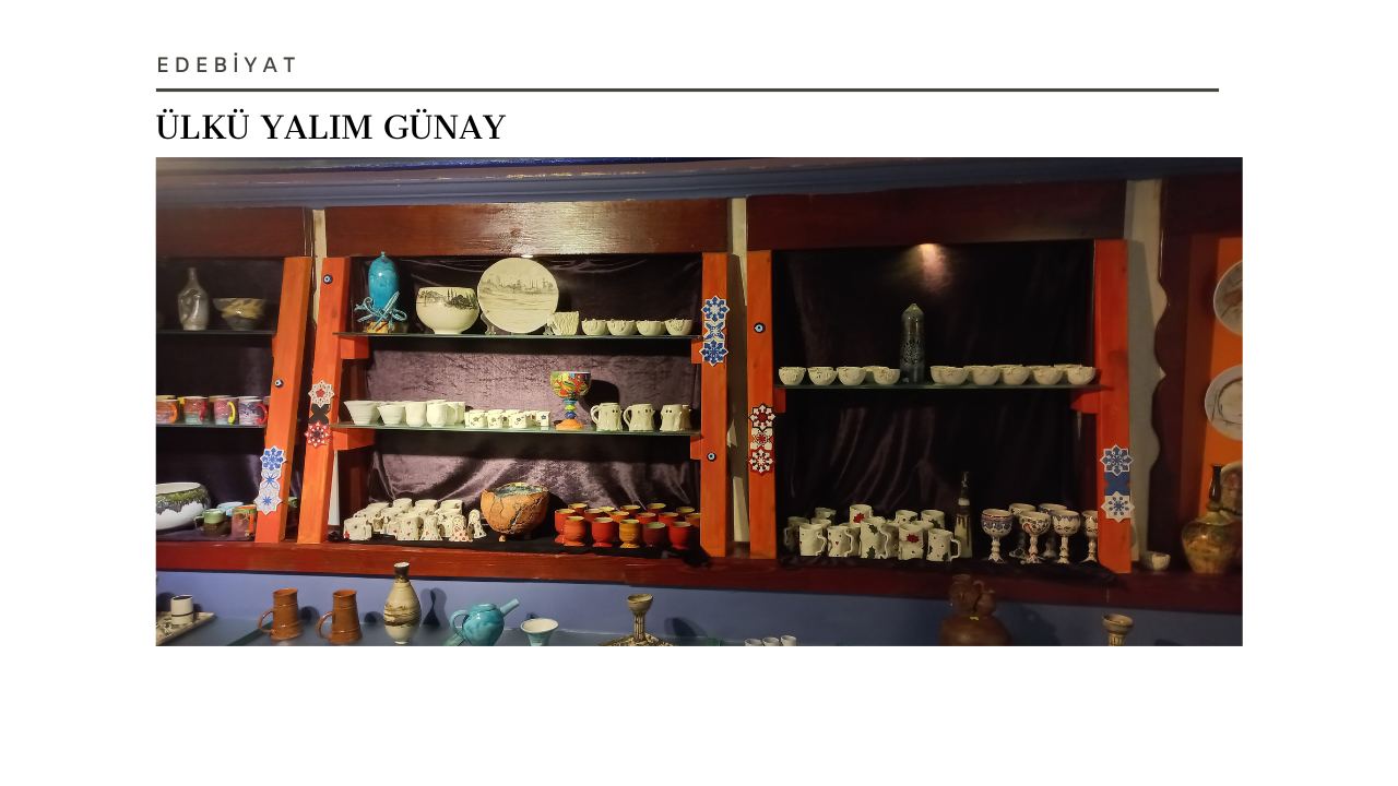 Kayısı Ağacı