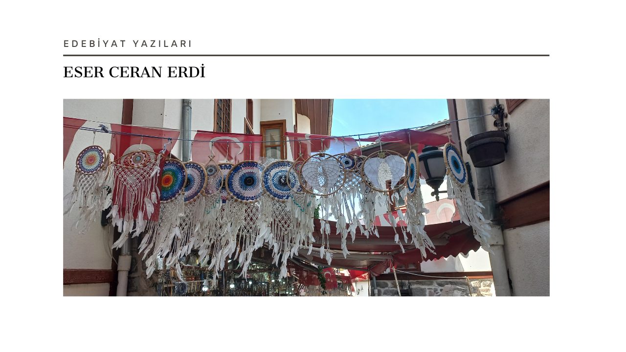 Barışa Yolculuk